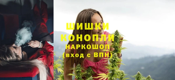 spice Покачи