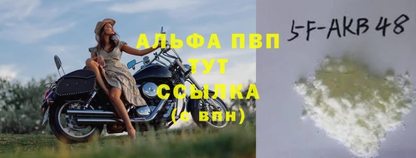 spice Покачи