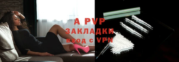 ПСИЛОЦИБИНОВЫЕ ГРИБЫ Покров