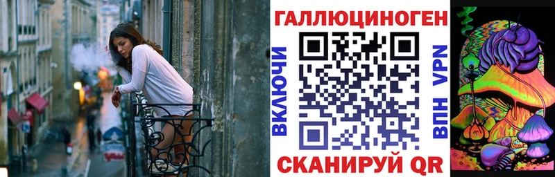 Купить  Кохма  Галлюциногенные грибы Psilocybe 